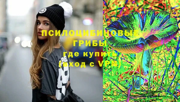 сатива Баксан
