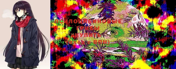 синтетический гашиш Балахна